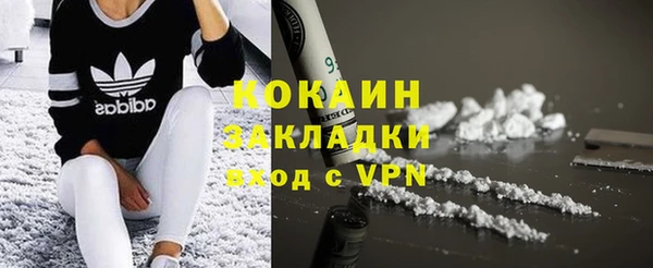 твердый Бронницы