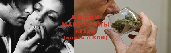 твердый Бронницы