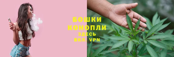 Альфа ПВП Бугульма