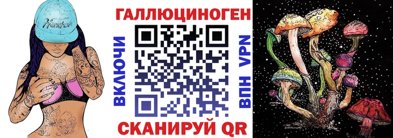 дарнет шоп  Комсомольск-на-Амуре  Псилоцибиновые грибы ЛСД 